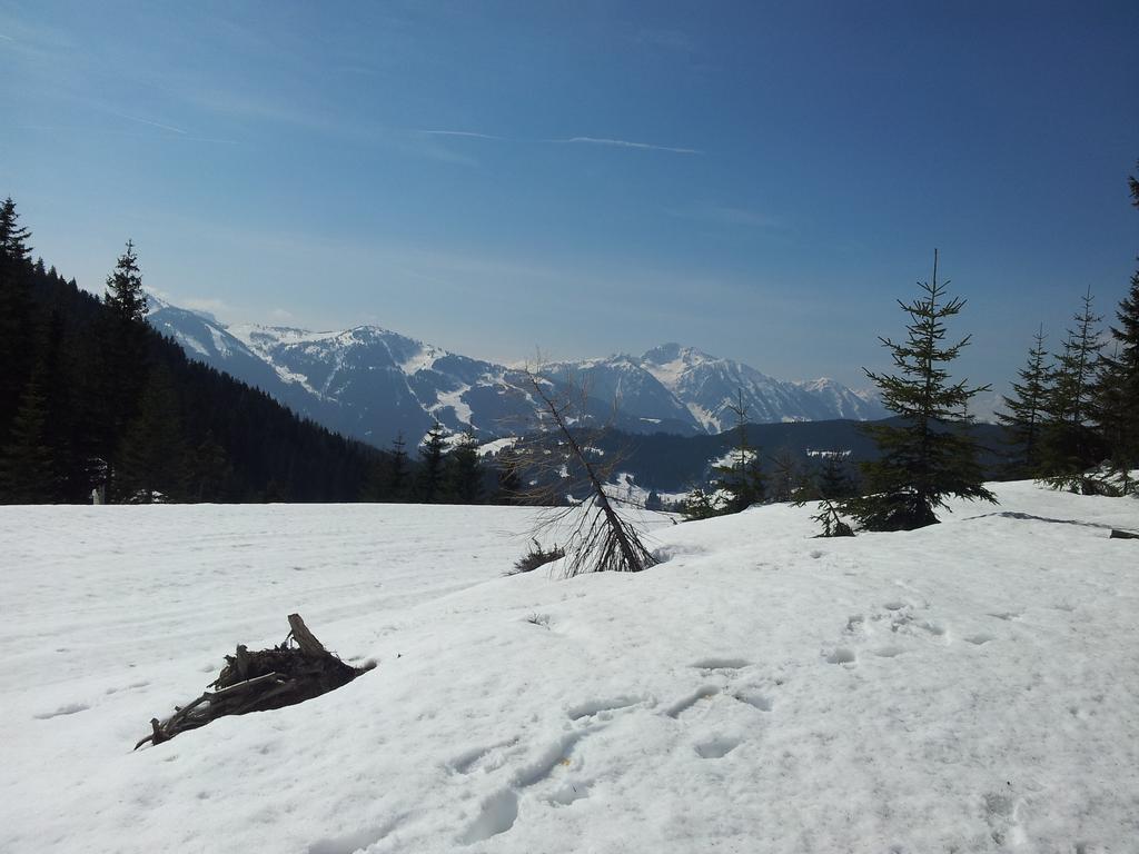 Appartement Hubertus Flachau Room photo